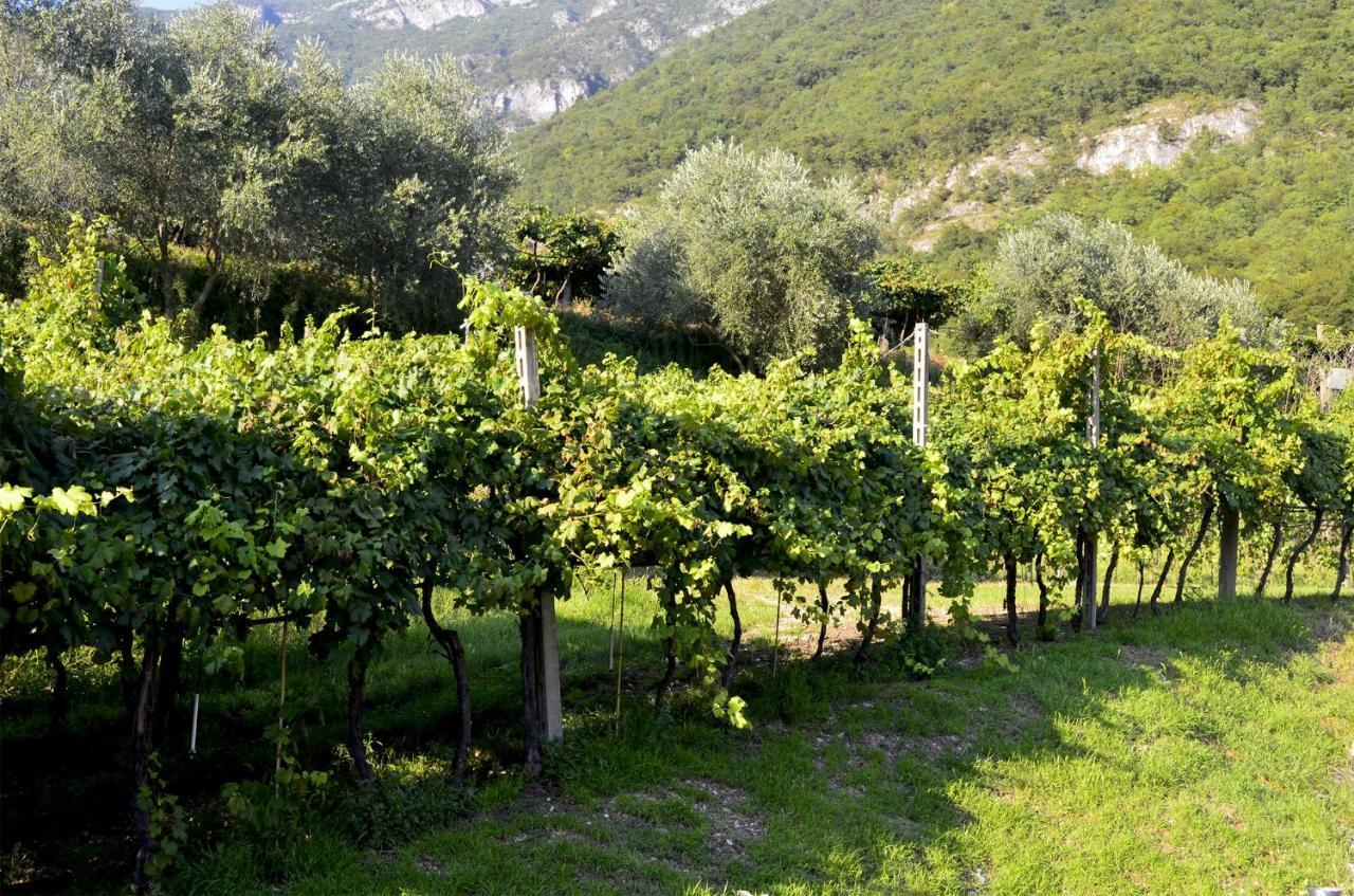 Bed and Breakfast Ca Ulivi Ala Exterior foto